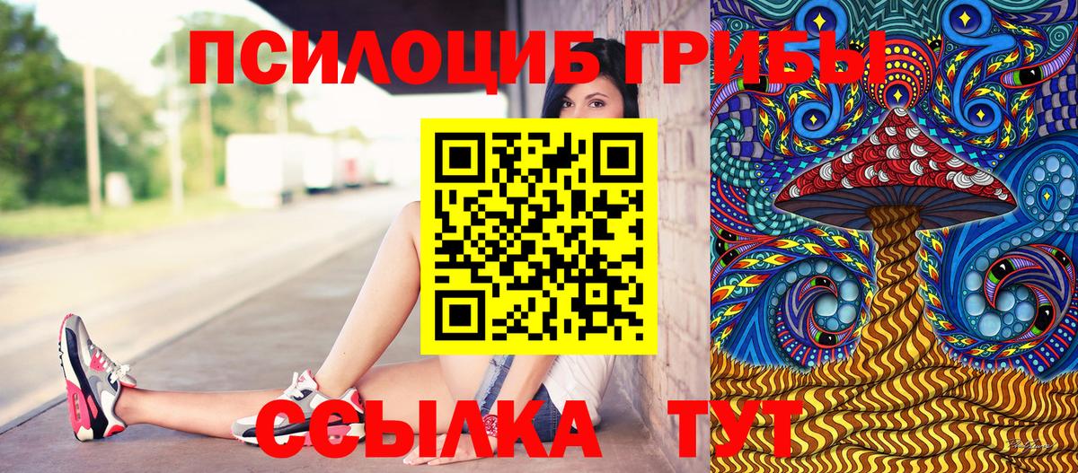 Псилоцибиновые грибы прущие грибы Кушва